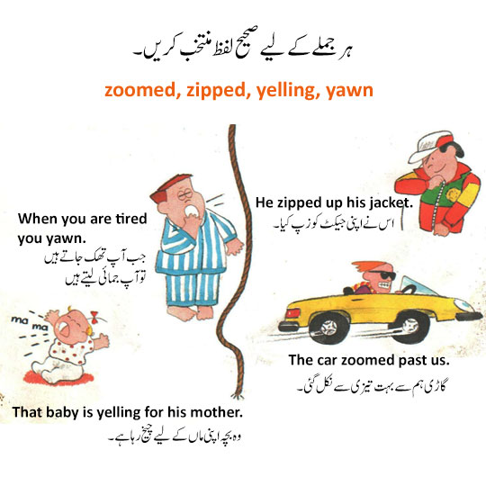 vocabulary with pictures urdu