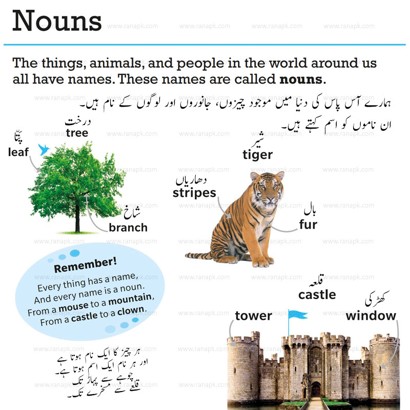 What is Noun